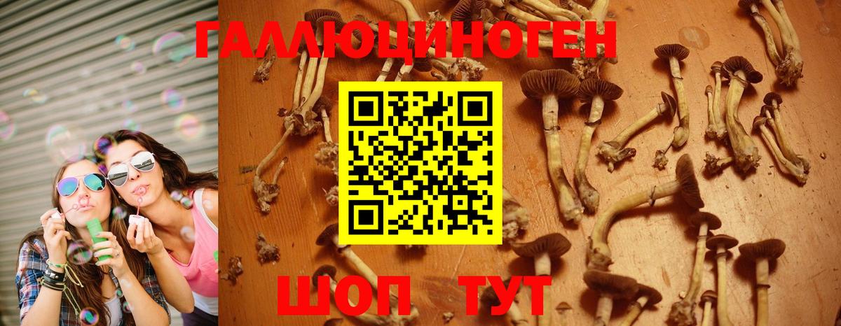 Чусовой  купить закладку  Вход с VPN  Галлюциногенные грибы GOLDEN TEACHER 
