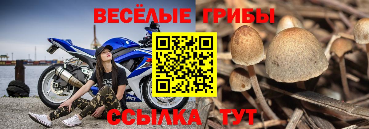 Галлюциногенные грибы Magic Shrooms Чусовой